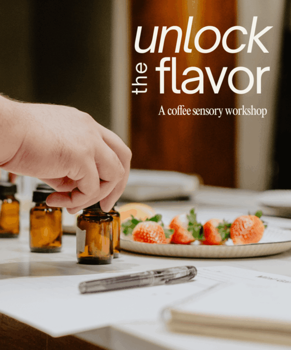 Unlock the Flavor: A Coffee Sensory Workshop